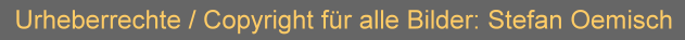 Copyright
