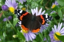 Bild 15